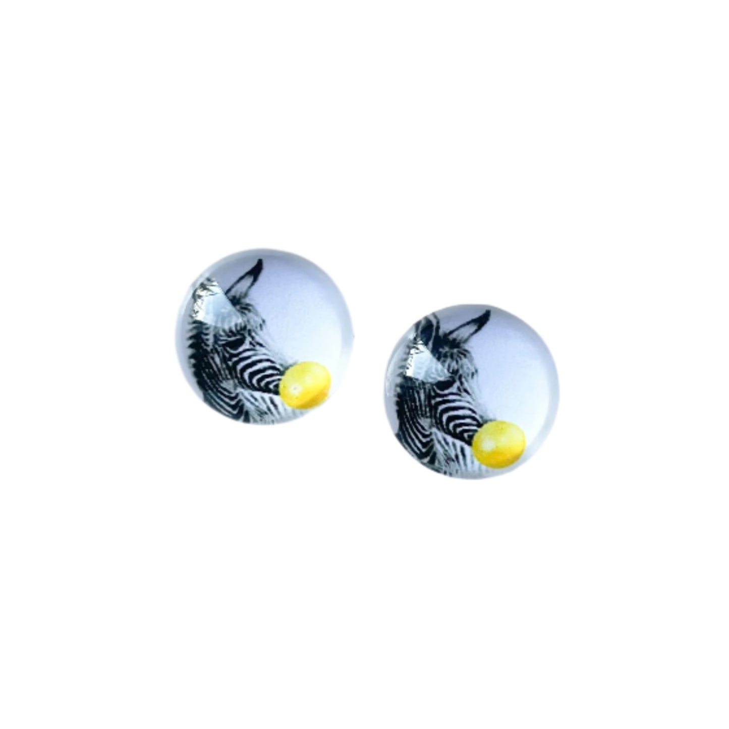 Zebra Glass Dome Studs