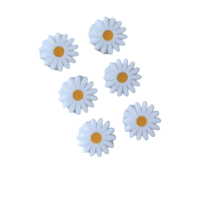 Daisy Earring Studs