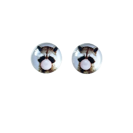 Raccoon Glass Dome Studs